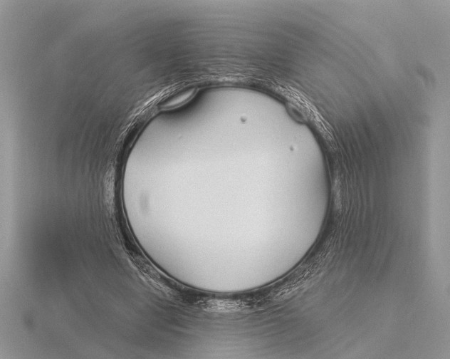 X0000115690442200912101157