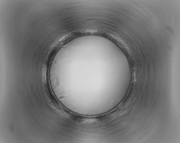 X0000115690446200912101157