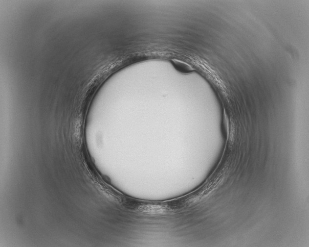 X0000115690449200912101157