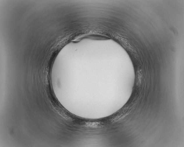 X0000115690450200912101157