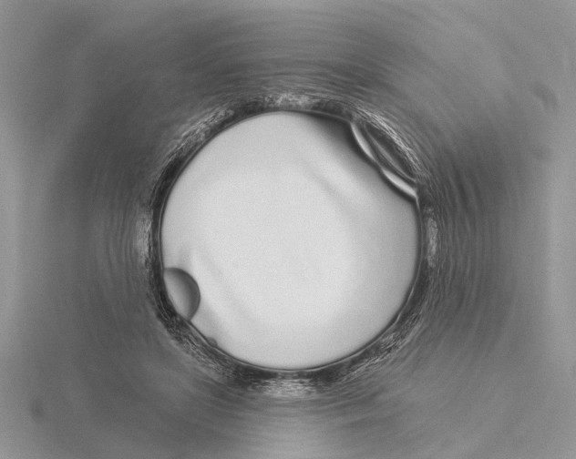 X0000115690451200912101157