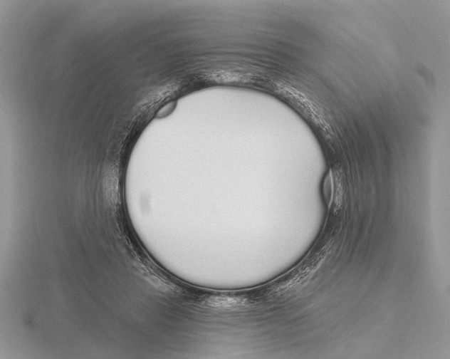 X0000115690453200912101157