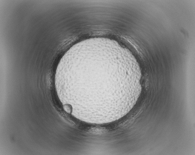 X0000115690455200912101157