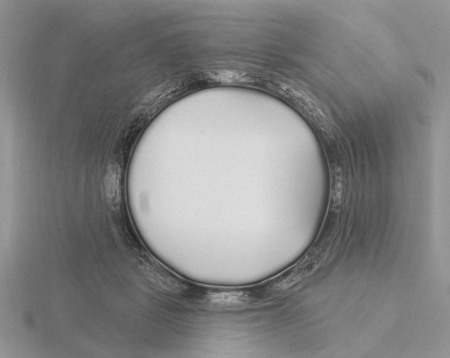 X0000115690461200912101157