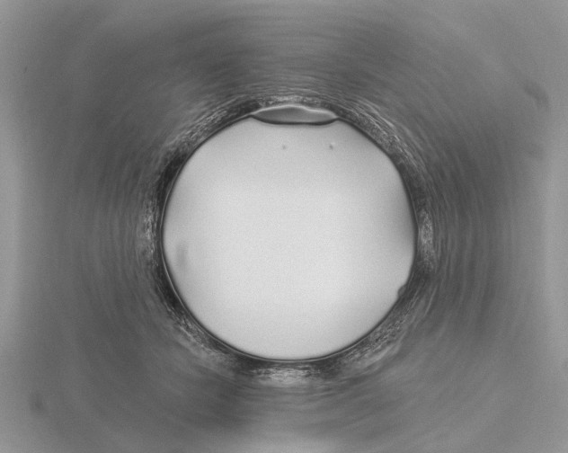 X0000115690462200912101157