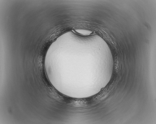 X0000115690466200912101157