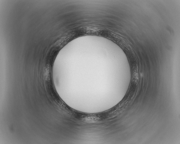 X0000115690468200912101157