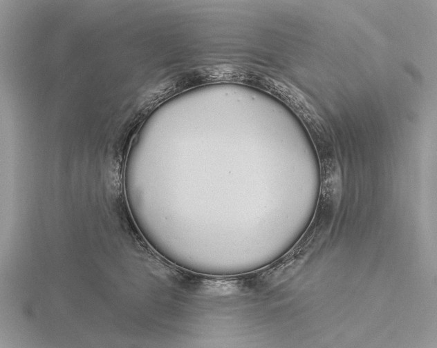 X0000115690469200912101157
