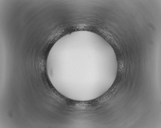 X0000115690470200912101157