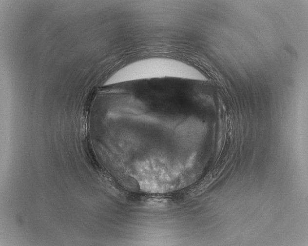 X0000115690471200912101157