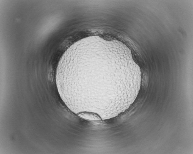 X0000115690477200912101157