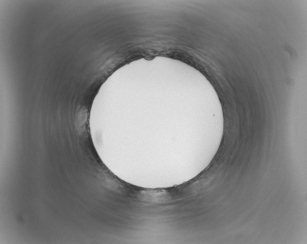 X0000115690480200912101157