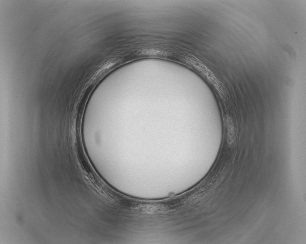 X0000115690482200912101157