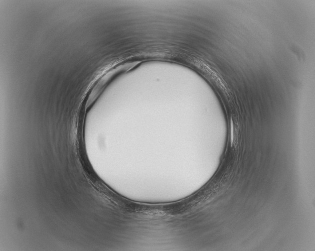X0000115690483200912101157