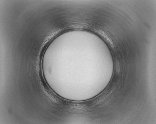 X0000115690486200912101157
