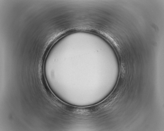 X0000115690487200912101157
