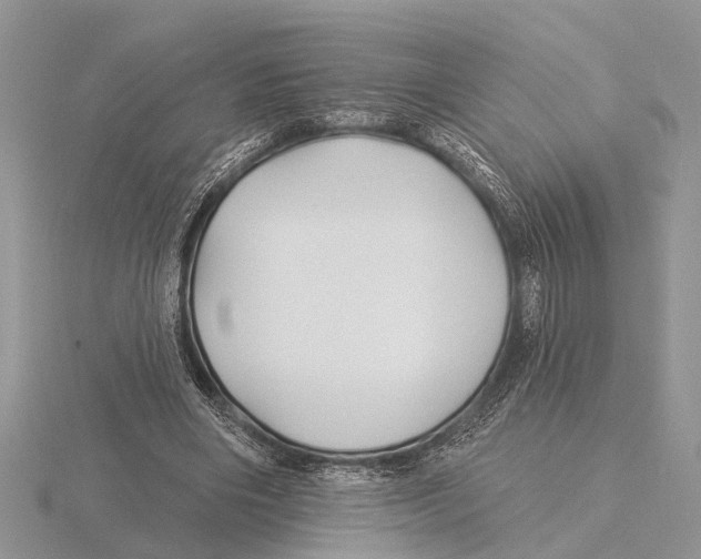 X0000115690490200912101157