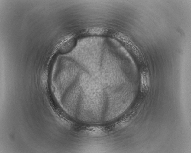 X0000115690492200912101157