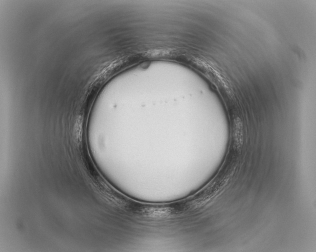 X0000115690495200912101156