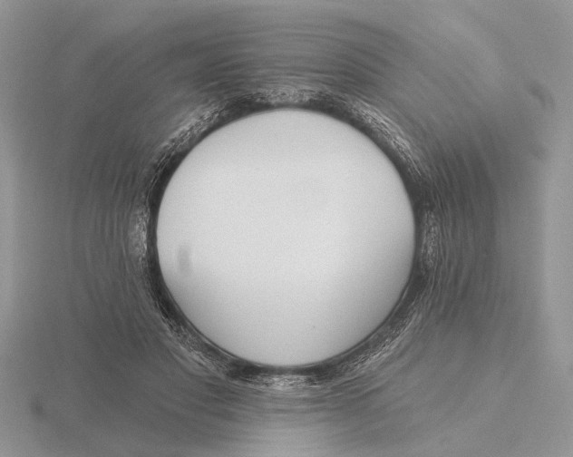 X0000115690501200912101156