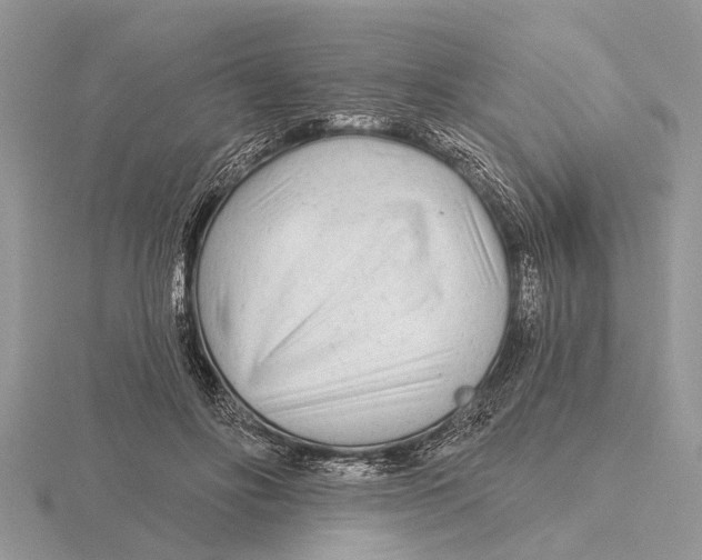 X0000115690502200912101156