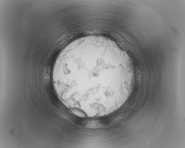 X0000115690507200912101156