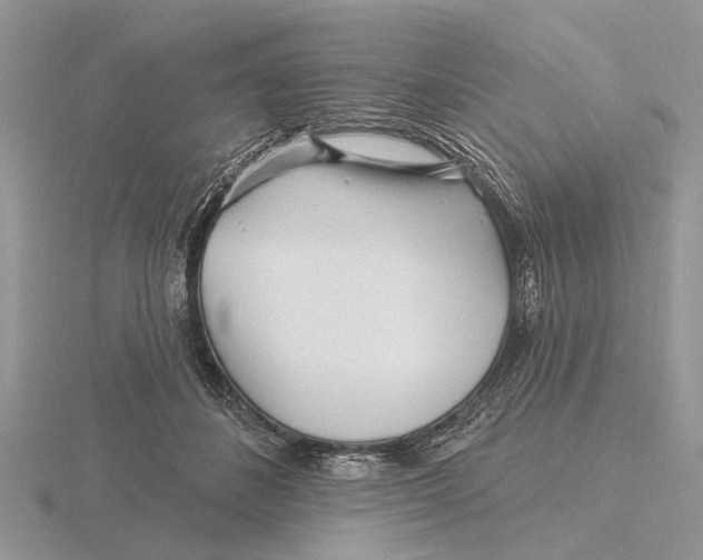 X0000115690508200912101156