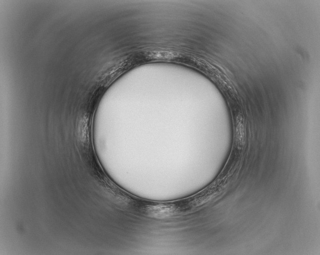 X0000115690511200912101156