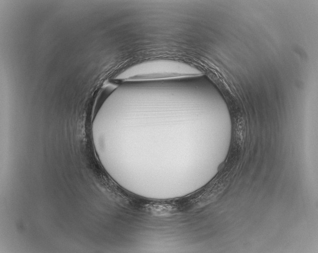X0000115690512200912101156