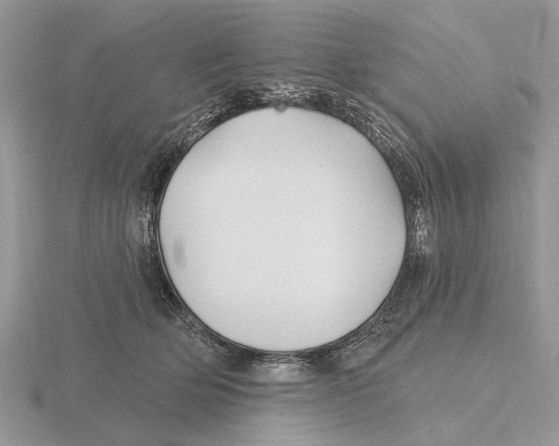 X0000115690514200912101156