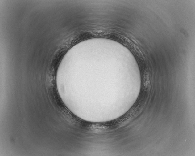 X0000115690515200912101156