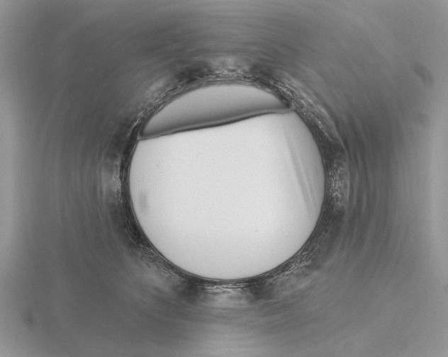 X0000115690516200912101156