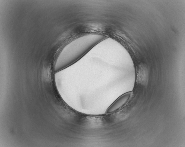 X0000115690520200912101156
