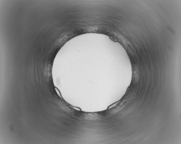 X0000115690525200912101156