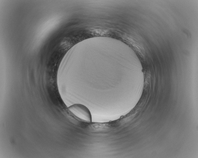 X0000115690526200912101156