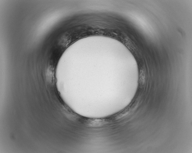 X0000115690527200912101156