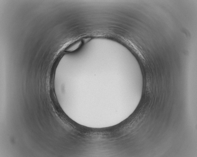 X0000115690530200912101155