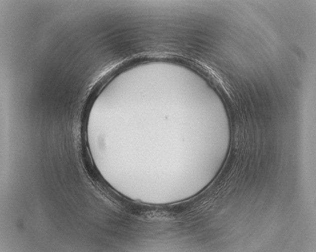 X0000115690535200912101155