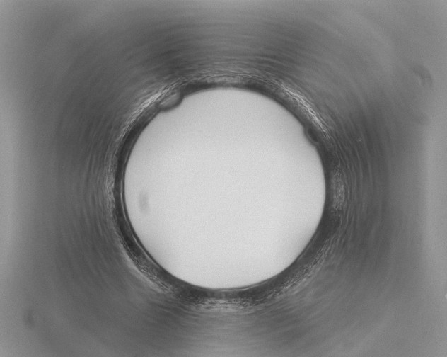 X0000115690538200912101155