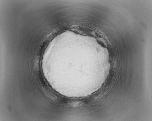 X0000115690542200912101155