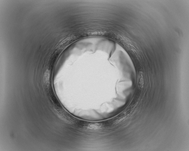 X0000115690550200912101156
