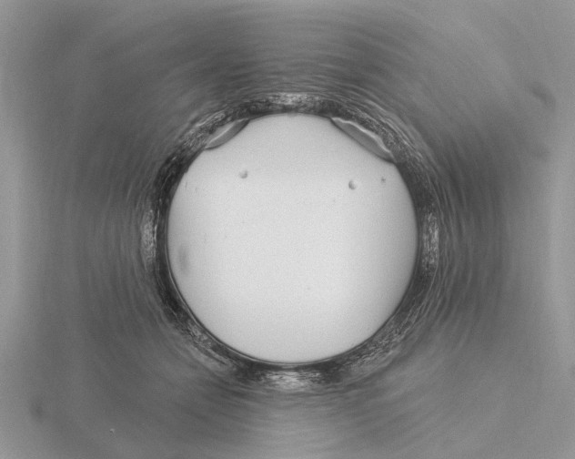 X0000115690558200912101156