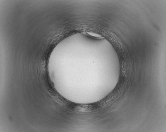 X0000115690563200912101156