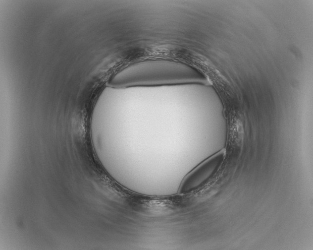 X0000115690566200912101156