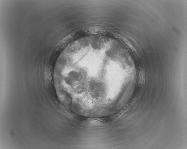 X0000115690569200912101156