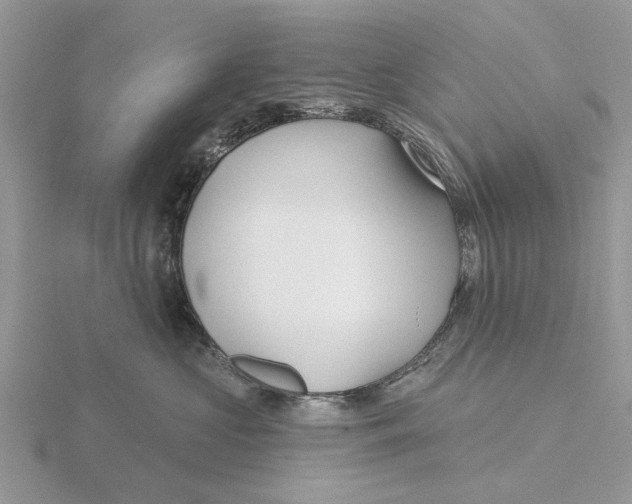 X0000115690573200912101156