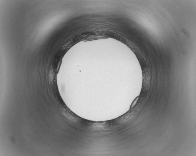 X0000115690574200912101156