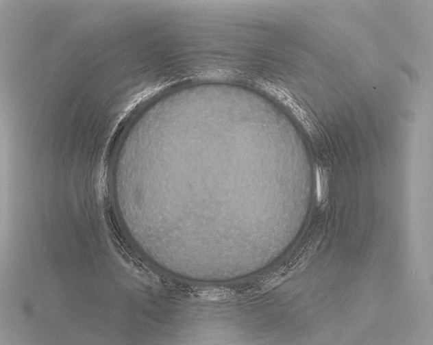 X0000115690579200912101155