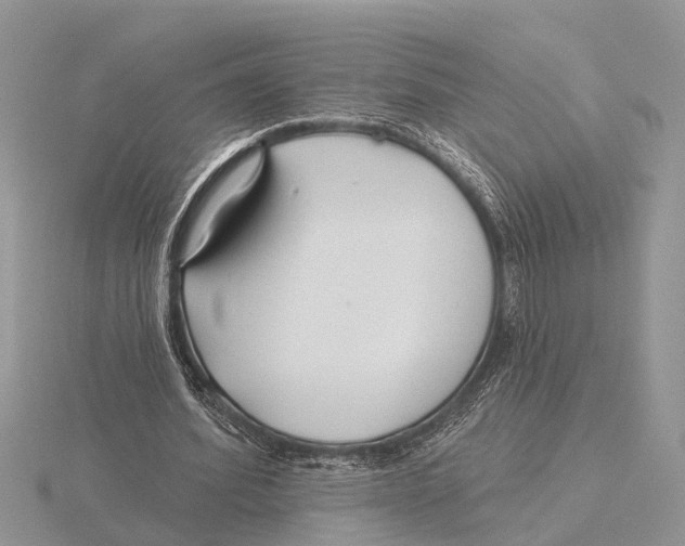 X0000115690580200912101155