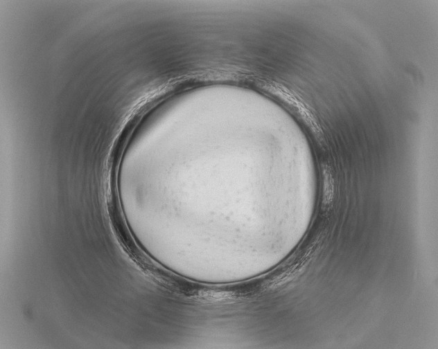 X0000115690582200912101155